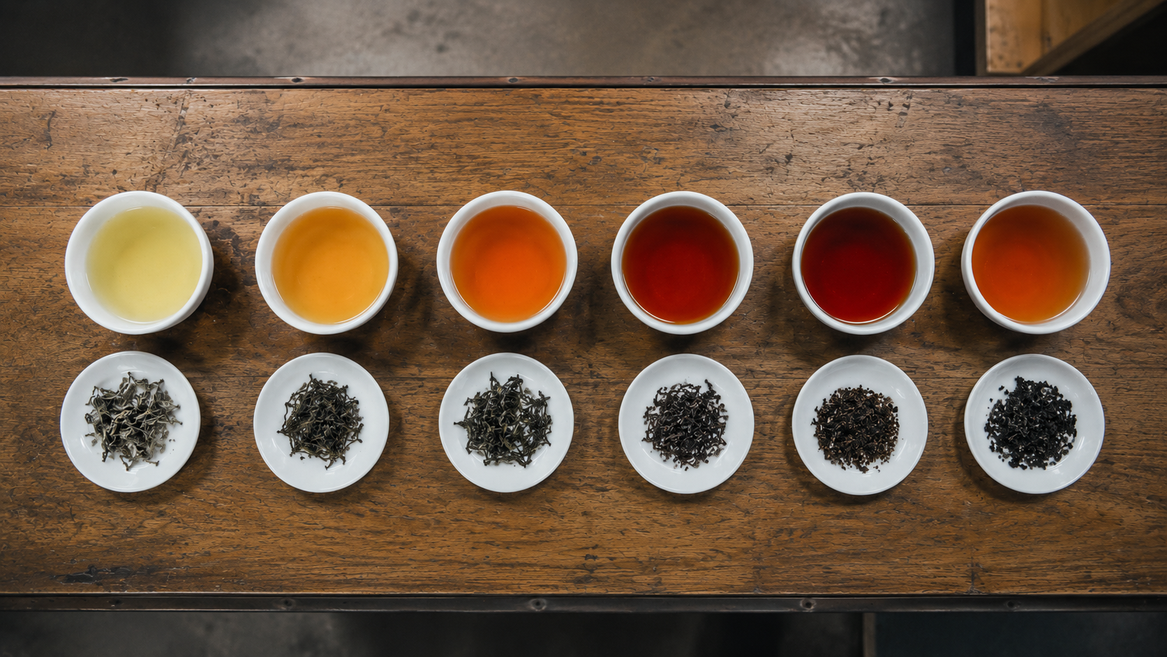 Rows of brewed tea on a tasting table