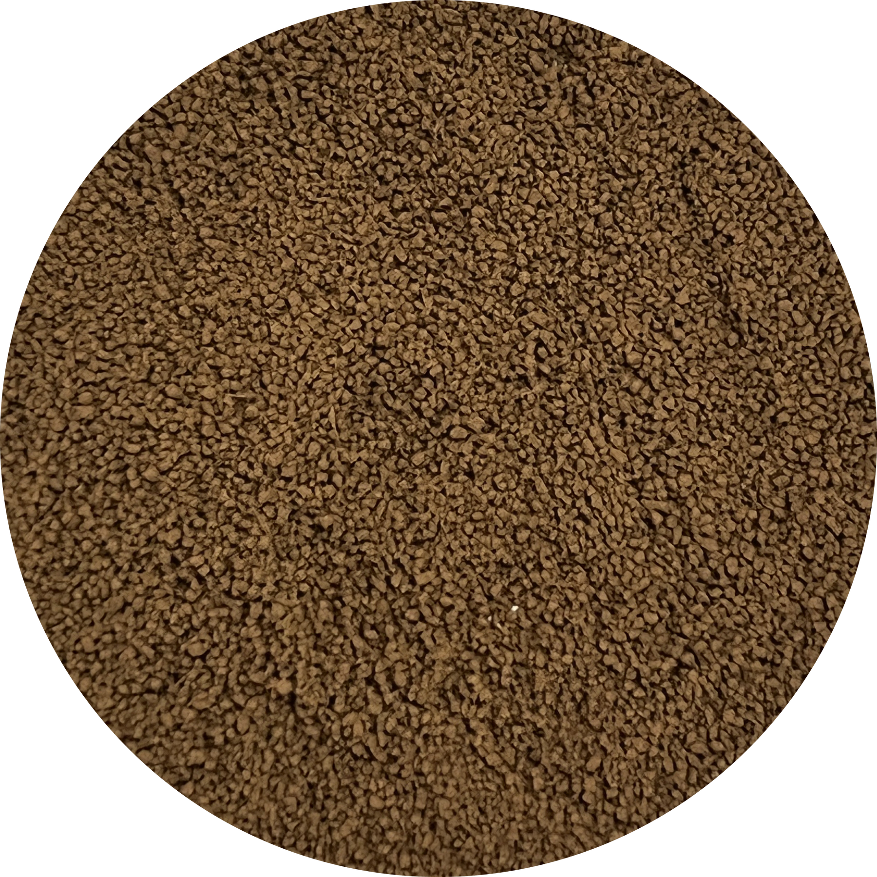 Chocolate Chai