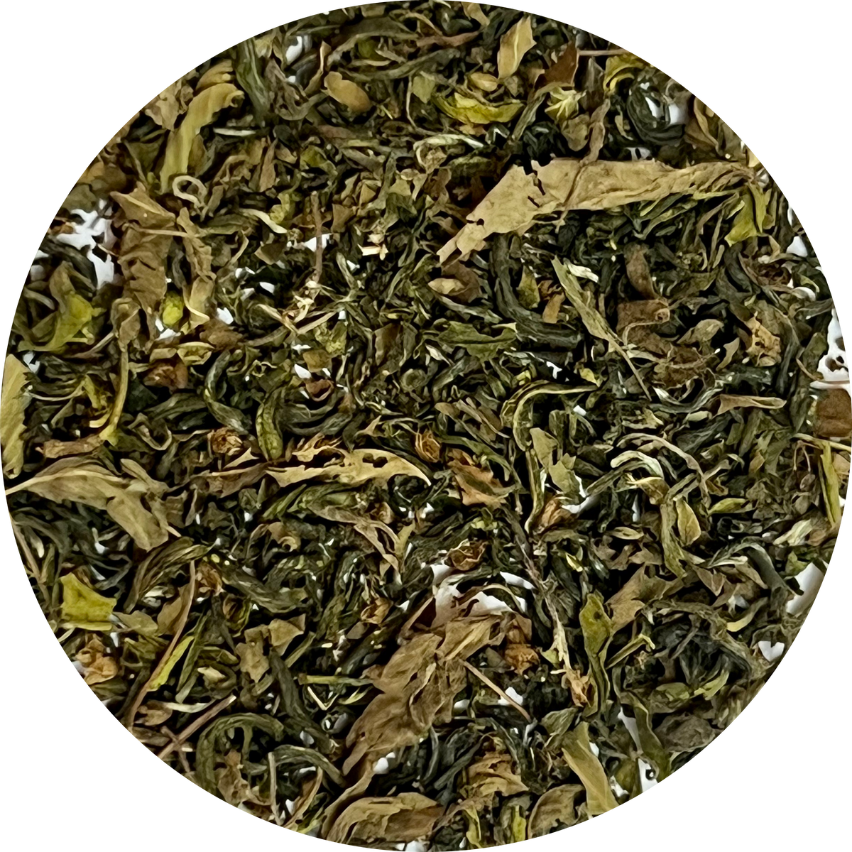Tulsi Green Tea